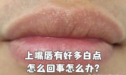 健康的素菜吃法有哪些-健康的素菜吃法有哪些,中国健康的素菜吃法网站
